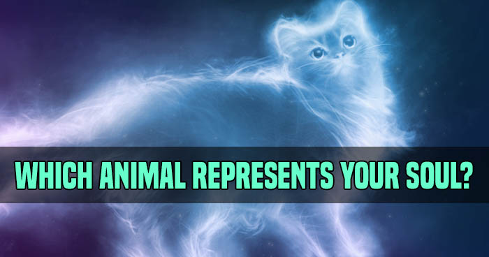 which-animal-represents-your-soul-2-quiz